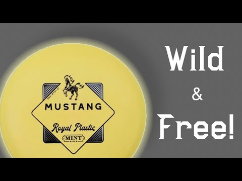 Disc Review: Mint Mustang | Disc Golf