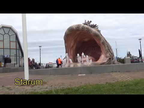 De Bosrand Aldemardum