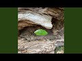 Coins For The Eyes 4 4