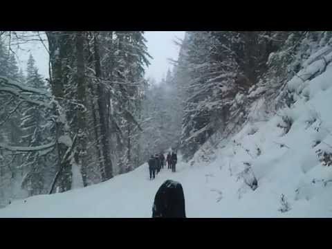 Coborare de la cabana Valea lui Ivan iarna