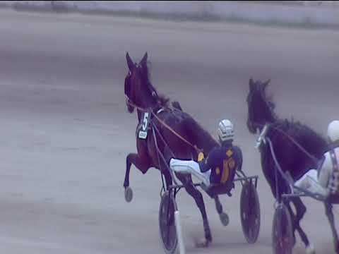 Trotto 09/12/2018 - 1ª corsa