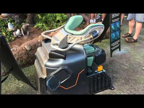 Flight of Passage - Full queue and full ride