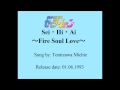 Sailor Moon - Sei Hi Ai Fire Soul Love (Holy flame love fire soul love)