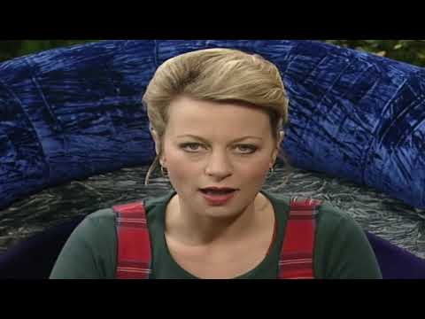 Teletubbies: Naughty Bee