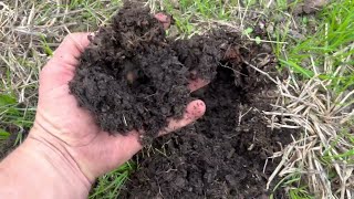 Regenerative Agriculture: How We Improve Soil Quic