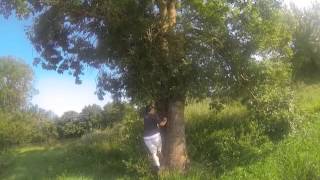 preview picture of video 'Geocaching Louhans et Seille'