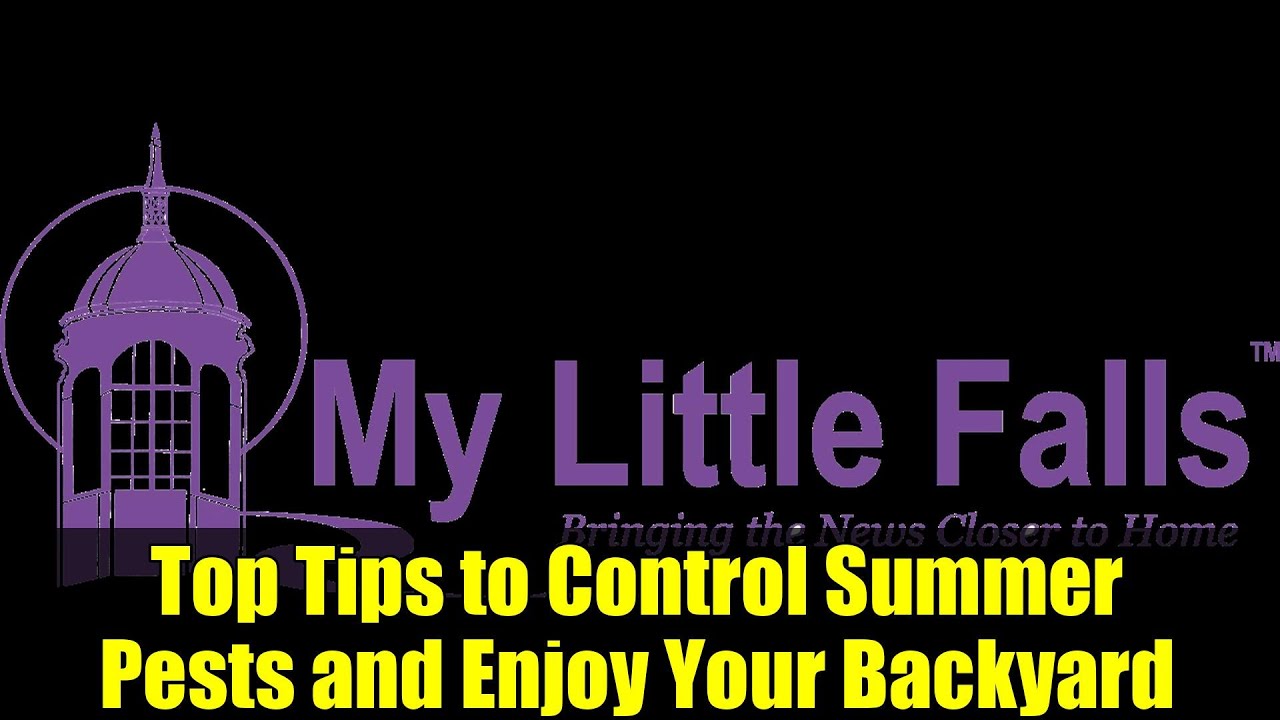 Top Tips to Control Summer Pests and Enjoy Your Backyard
