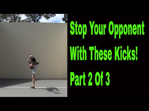 Stopping Kicks: Part 2 Side Kick