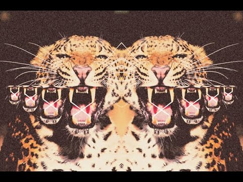 Psychedelic Music | Amras - Frooti