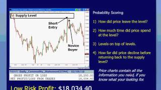 Sam Seiden: Forex Swing Trading With Supply and Demand Analysis