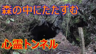 明治、大正、昭和と三本のトンネルが平行して走る心霊スポット　須花トンネルの昼探索編