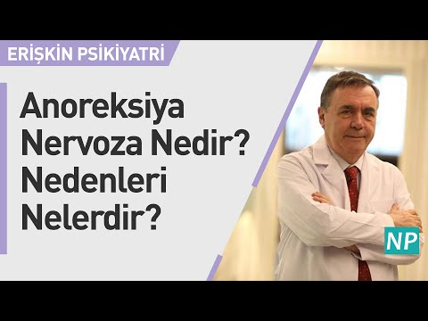 What is Anorexia Nervosa? What are its causes?