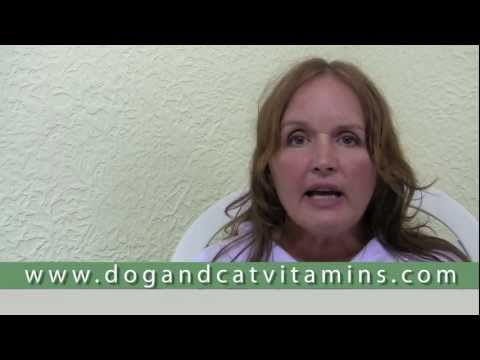 Cancer Treatment and Prevention in Dogs and Cats - Part 4 - Thyroid Function and Cancer in Dogs