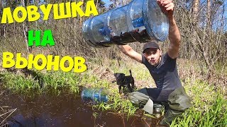 Как поймать скат цветочный