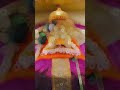 में हु तेरा नोकर बाबा Khatu Shyam Status Shorts Khatushyambhajan K