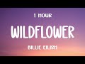 Billie Eilish WILDFLOWER Lyrics 1HOUR