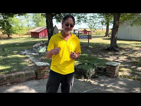 Century Arms Centurion 11 Shooting Impressions