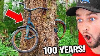 Amazing Things Show the Power of Time!