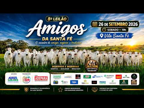 8º LEILÃO AMIGOS DA SANTA FÉ - VILA SANTA FÉ / PA