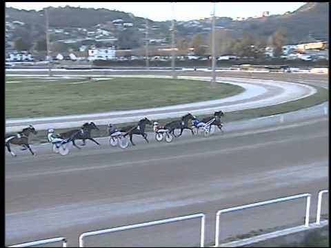 Trotto 08/03/2015 - 6° corsa