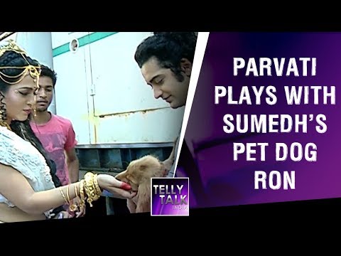 'Radha Krishna' star Piyali Munsi aka Parvati plays with Sumedh's pet dog Ron | Behind The Scenes