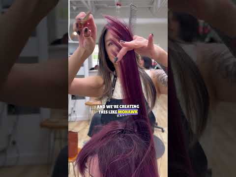 How to dry-cut a shag 🦈