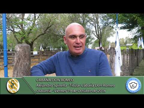 19-10-18 Nota Alejandro Spinella - Titular Cab. Don Romeo - Cabaña Don Romeo - Olavarría