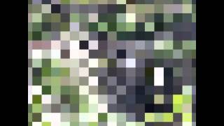 Rocky Mountain High 2014