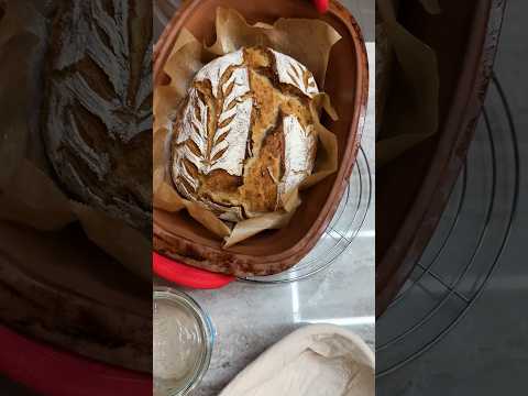 Brot backen für Anfänger 🤤 einfach lecker! #shorts Mamiseelen