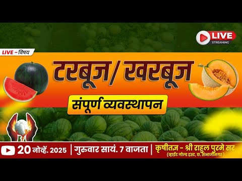 टरबूज/खरबूज संपूर्ण व्यवस्थापन