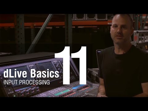 Mike Bangs - dLive Basics 11 - Input Processing - Gate Overview