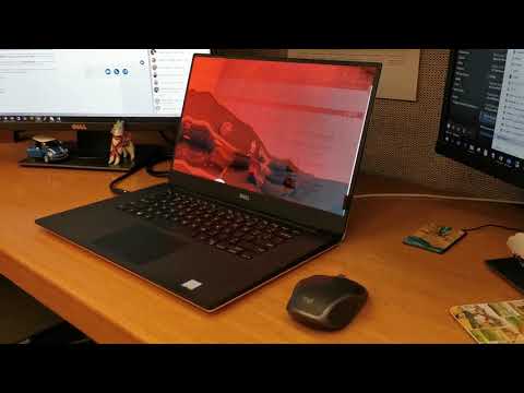 3M Gold Privacy Filter Demo