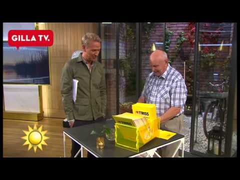 Här slänger Jesper iväg en trisslott av misstag