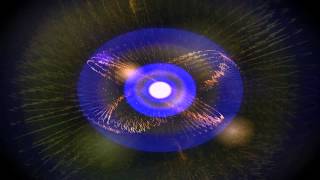 entre rosas y flores-fundacion OWARA