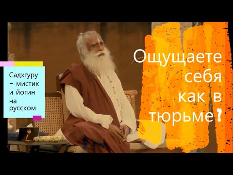 Ощущаешь себя как в тюрьме ? Садхгуру - мистик и йогин, на русском.