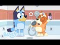 Relájese Serie 3 Bluey Español Canal Oficial