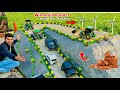 Making A Mountain In Mini City Using Bricks For Rc Tractor ​⁠​⁠ Aakash946