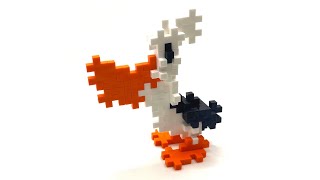 Pelican