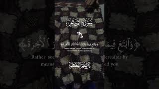 Download lagu #اكسبلور #lifeisbutadream #allhallowsday #whowillbemylifepartnerta #duet #لايك #allsaintsday mp3