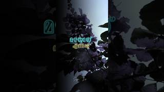 Download lagu mulle mazhaville chollu #music #malalayalamsong mp3 Download lagu mulle mazhaville chollu #music #malalayalamsong mp3
