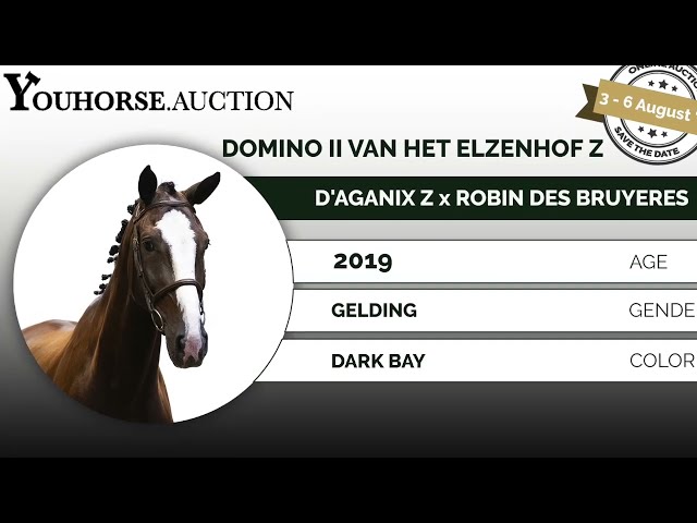 Domino II van het Elzenhof Z trainingsvideo