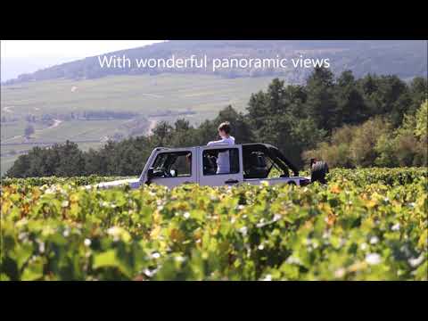 Sensation Vin - Wine Tours in Burgundy