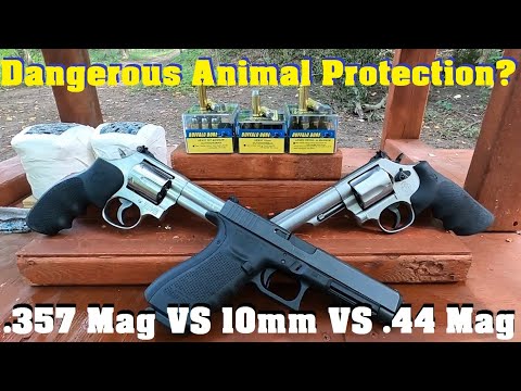 🐻Dangerous Animal Protection?💥💥 .357 Mag VS 10mm VS .44 Mag💥💥