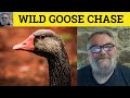 Wild Goose Chase Meaning Wild Goose Chase Examples Define Wild Goose Chase English Idioms