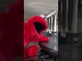 Elmo Calling You Out Elmo Funny Memes
