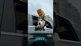 Video thumbnail image