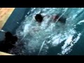 FAT Man Swimming Pool FAIL