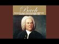 Orchestral Suite No. 2 in B Minor, BWV 1067: VII. Badinerie