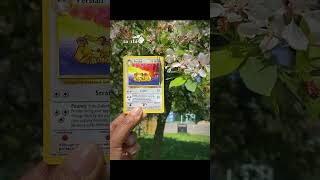 Pokemon in the wild #pokemon #tcg #reels #pokemoncards