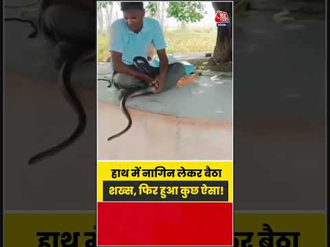 नागिन के साथ शख्स की हरकत देख उड़ जाएंगे होश! | #Snake #ViralShorts #Wildlife